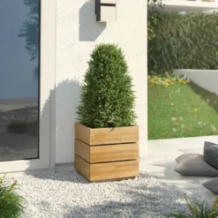 OUTLIV. Flora Pflanzgefäß 40x41x39cm Wildeiche 13 OUTLIV. Flora Pflanzgefäß 40x41x39cm Wildeiche -Dopptler Geschaft outliv by detlef steves flora pflanzgefaess 40x41x39cm wildeiche 1354081 6 1